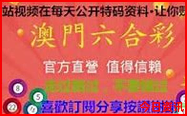 海鸥夏天去哪儿了